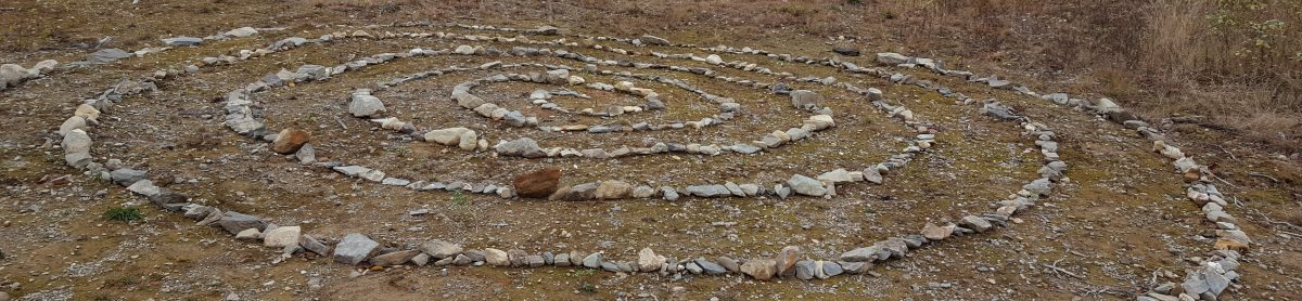 Wandering and Wondering